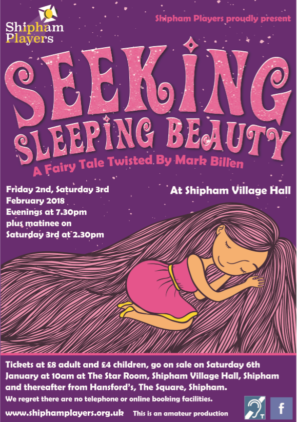 Seeking Sleeping Beauty Poster