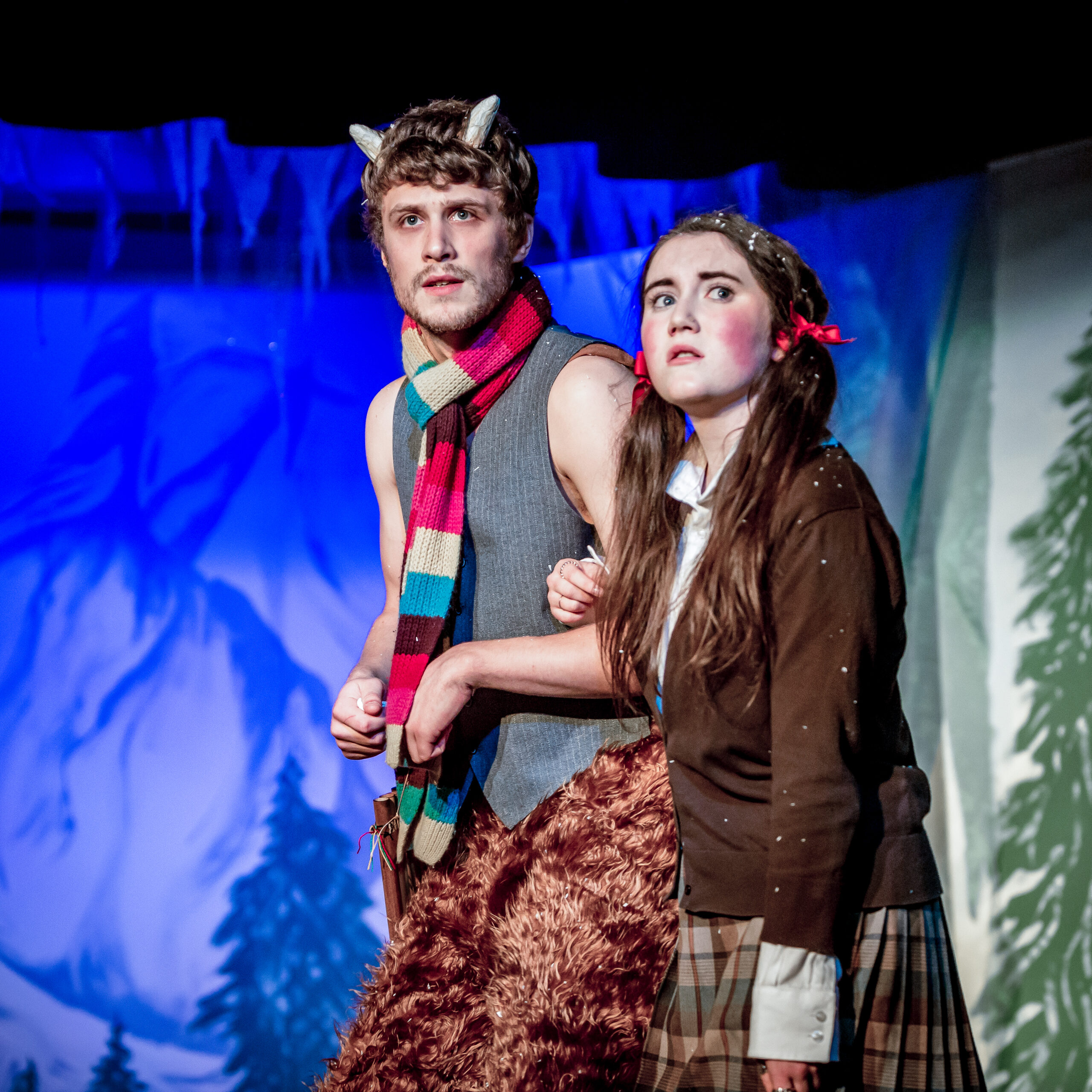 The Lion The Witch and The Wardrobe