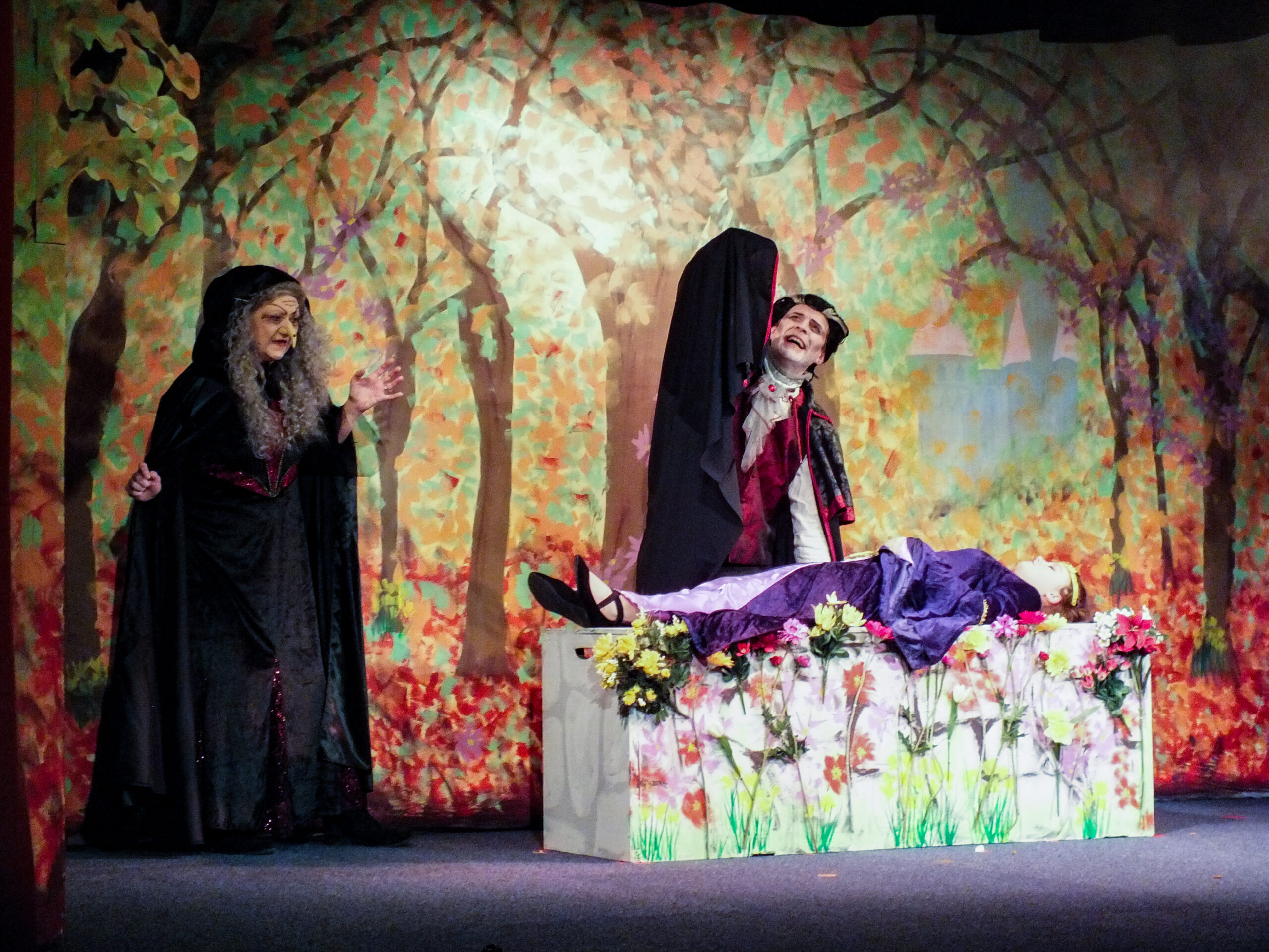 Seeking Sleeping Beauty