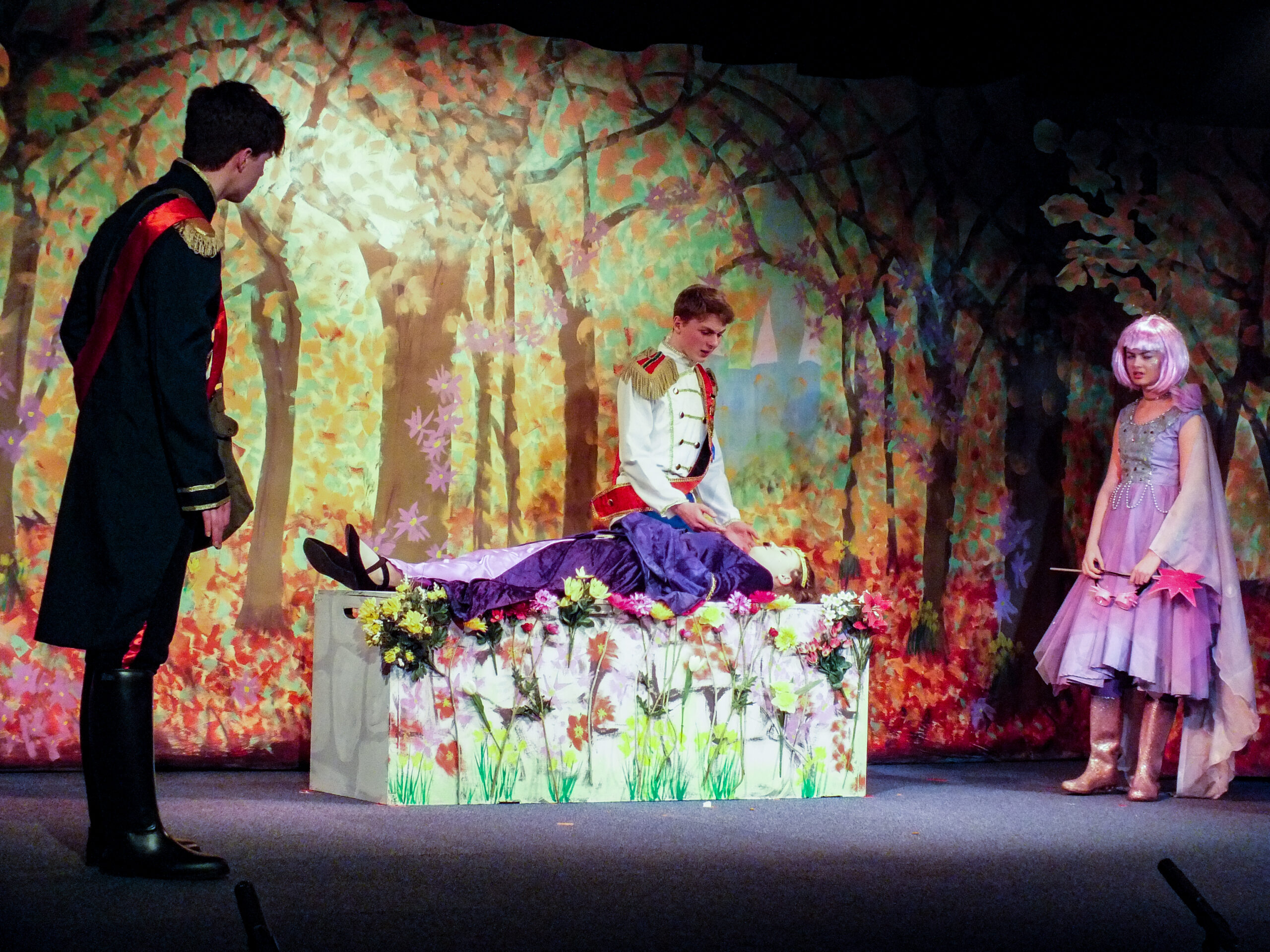 Seeking Sleeping Beauty