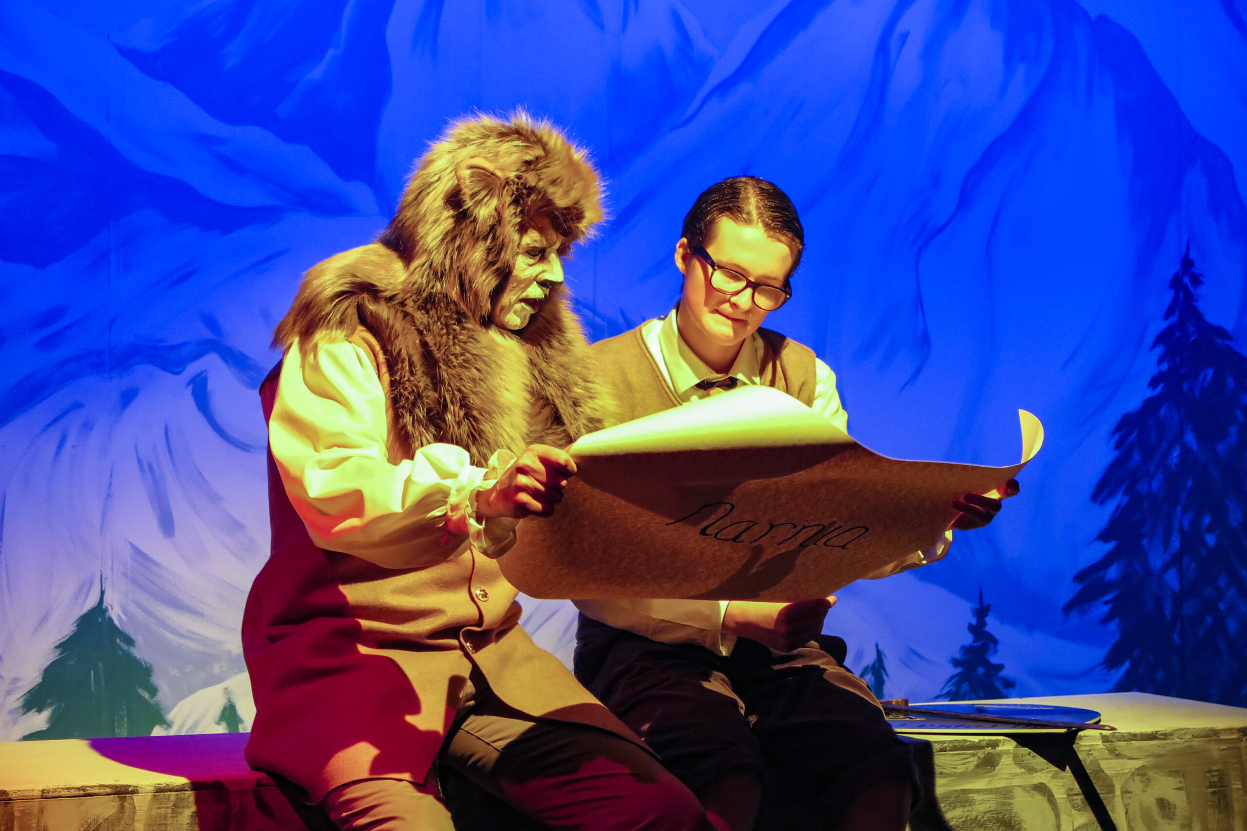 The Lion The Witch and The Wardrobe