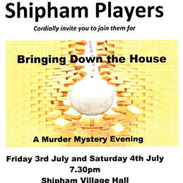 Bringing Down the House Poster